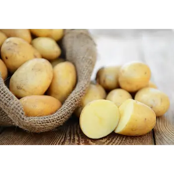 potato (6)-8307857-76285.webp